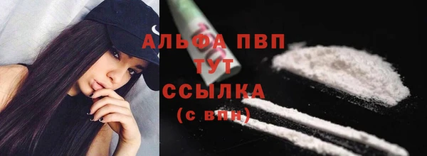 крисы Алзамай