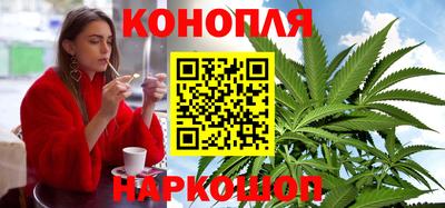 МДПВ Новозыбков