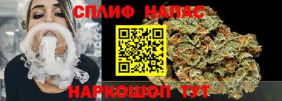 МДПВ Новозыбков