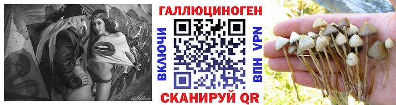 Галлюциногенные грибы ЛСД Шахты
