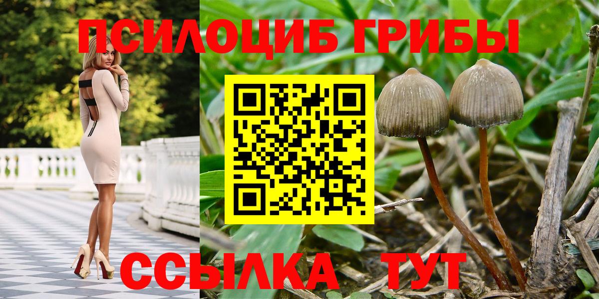 Галлюциногенные грибы MAGIC MUSHROOMS Шахты