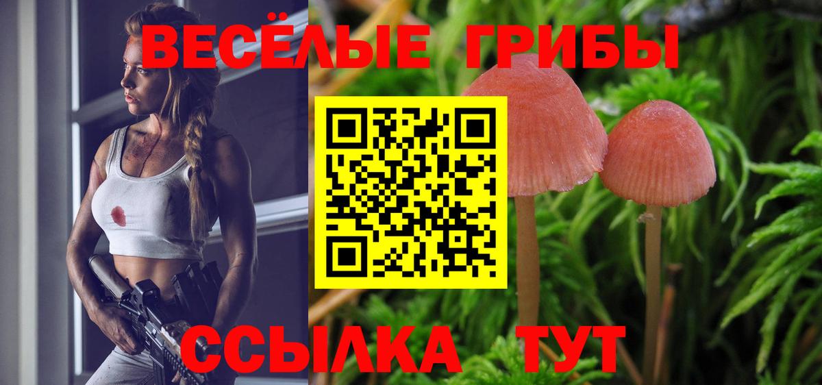 Псилоцибиновые грибы Magic Shrooms  Вход с VPN  Псилоцибиновые грибы прущие грибы  Шахты 